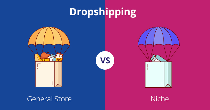 Niche Dropshipping Là Gì