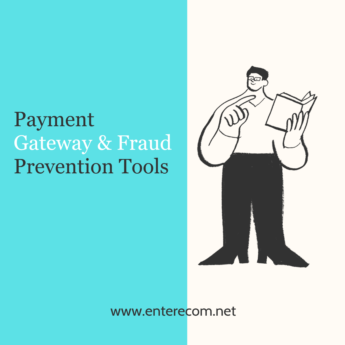 Payment Gateway & Fraud Prevention Tools